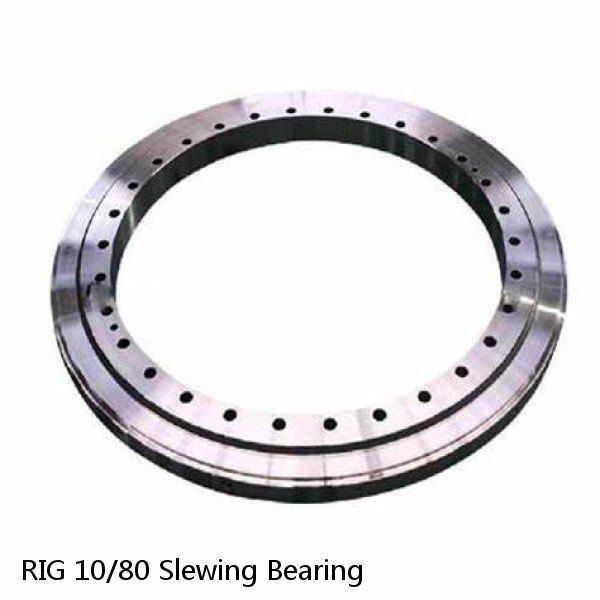 RIG 10/80 Slewing Bearing