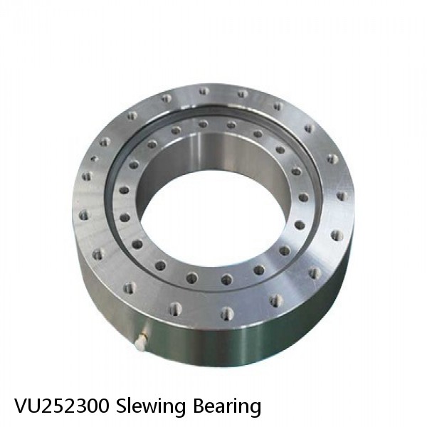 VU252300 Slewing Bearing
