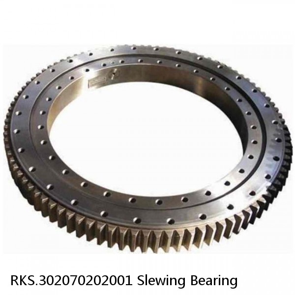 RKS.302070202001 Slewing Bearing
