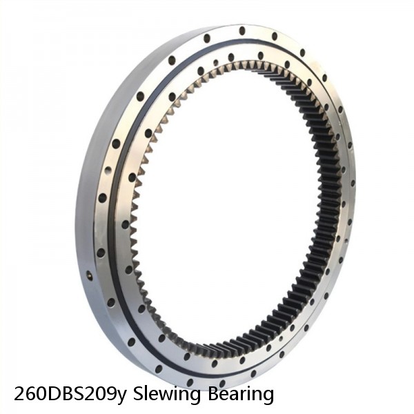 260DBS209y Slewing Bearing