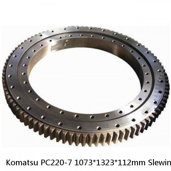 Komatsu PC220-7 1073*1323*112mm Slewing Bearing