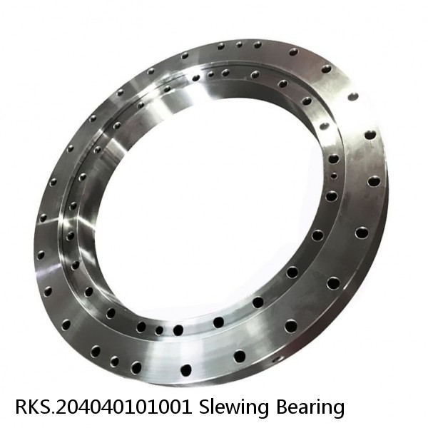 RKS.204040101001 Slewing Bearing