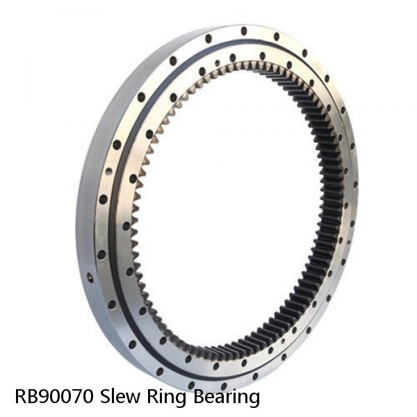 RB90070 Slew Ring Bearing