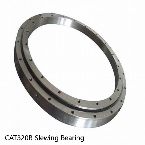CAT320B Slewing Bearing