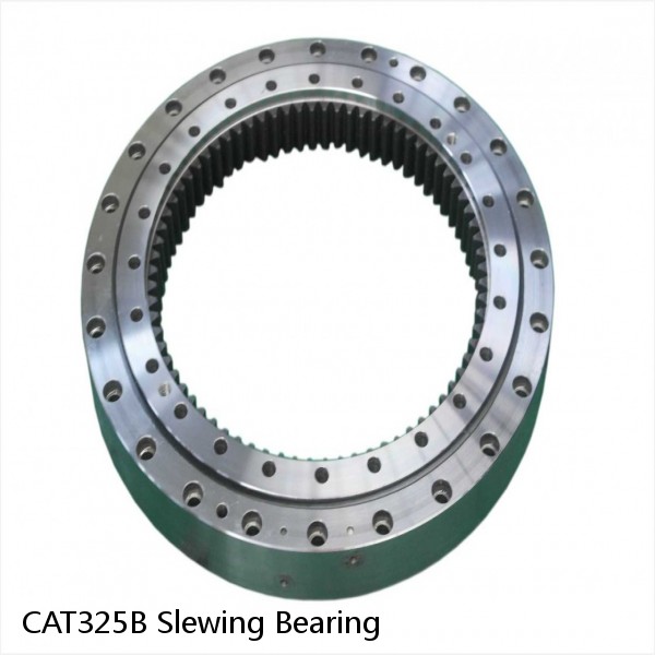 CAT325B Slewing Bearing